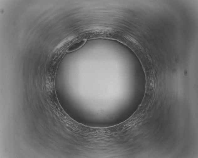 X0000057090869200509161627