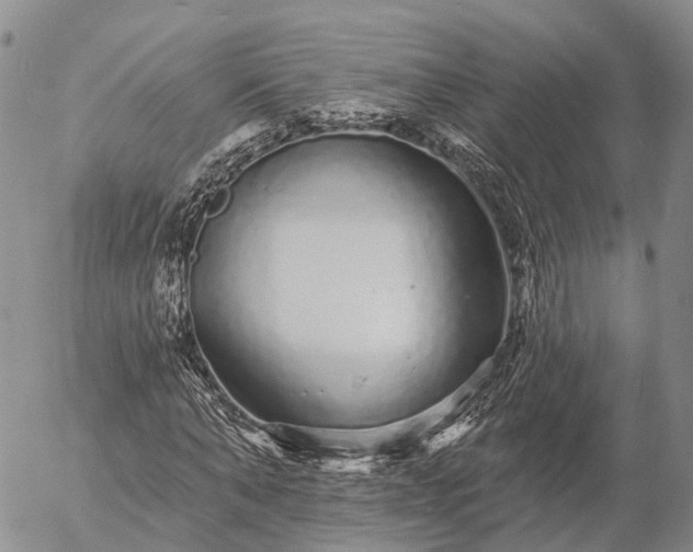 X0000057090870200509161627