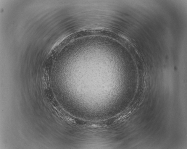 X0000057090871200509161627