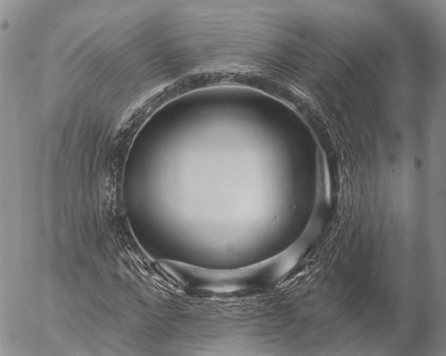 X0000057090872200509161627