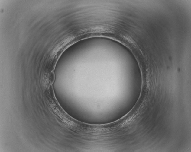 X0000057090873200509161627