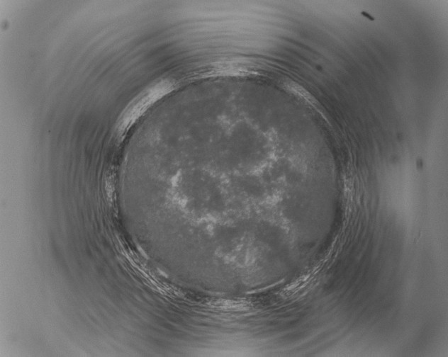 X0000057090874200509161627