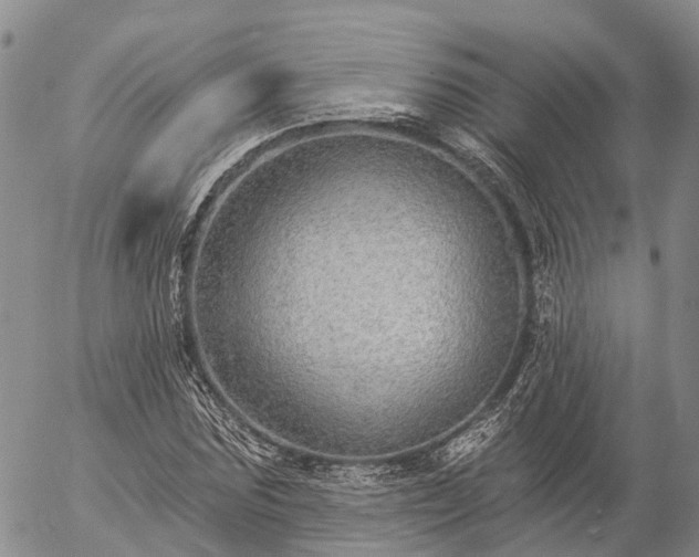 X0000057090875200509161627