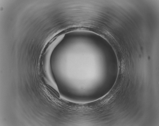 X0000057090876200509161627