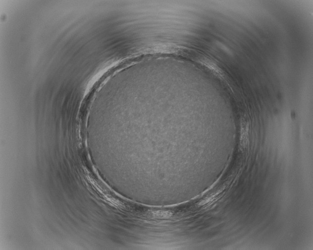 X0000057090878200509161627