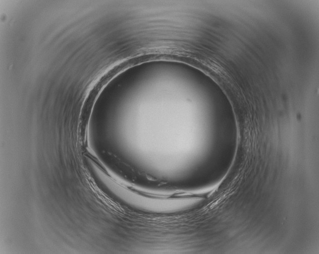 X0000057090880200509161627