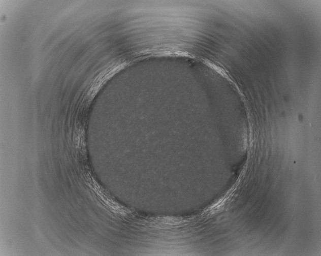 X0000057090881200509161627