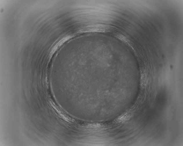 X0000057090882200509161627