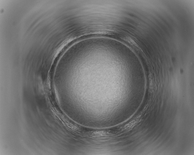 X0000057090883200509161627