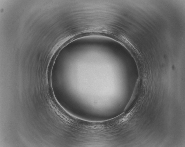 X0000057090884200509161626