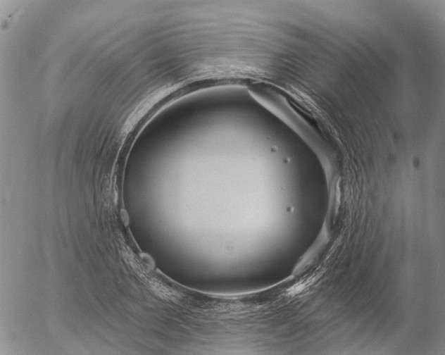 X0000057090885200509161626