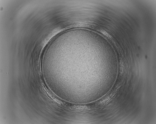 X0000057090886200509161626