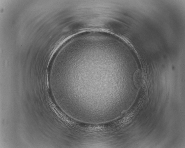 X0000057090887200509161626