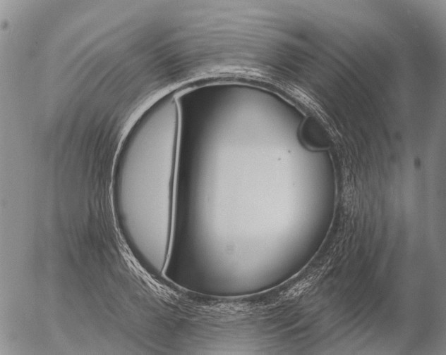 X0000057090888200509161626