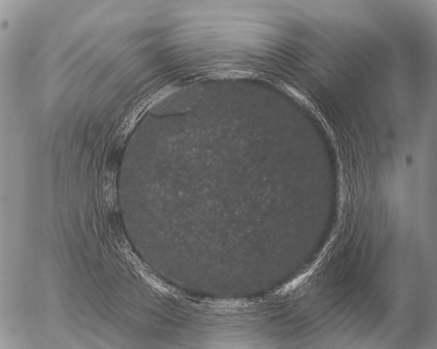 X0000057090889200509161626