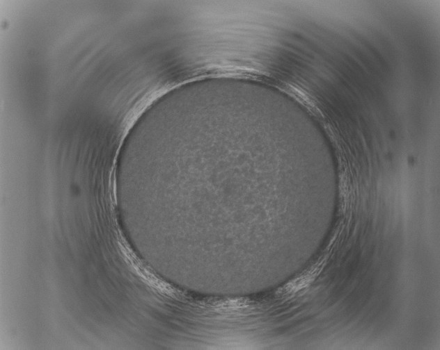 X0000057090891200509161626