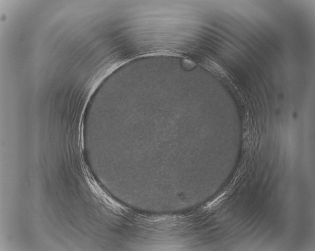 X0000057090892200509161626