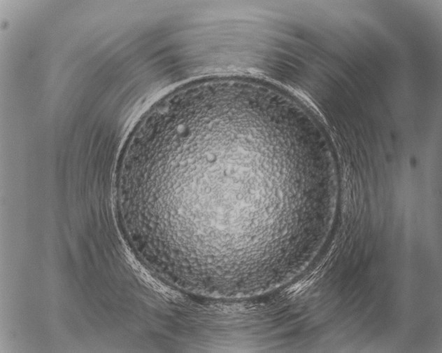 X0000057090895200509161626