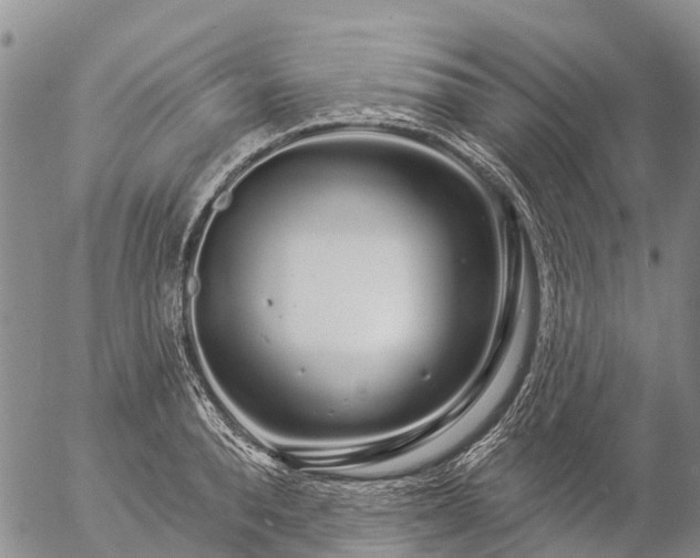 X0000057090896200509161626