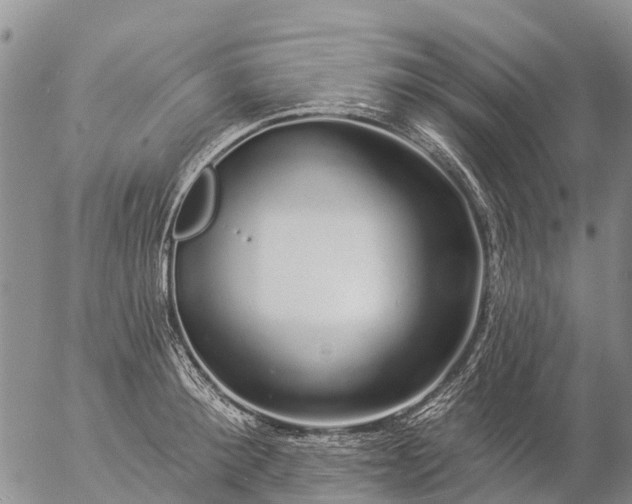 X0000057090900200509161626