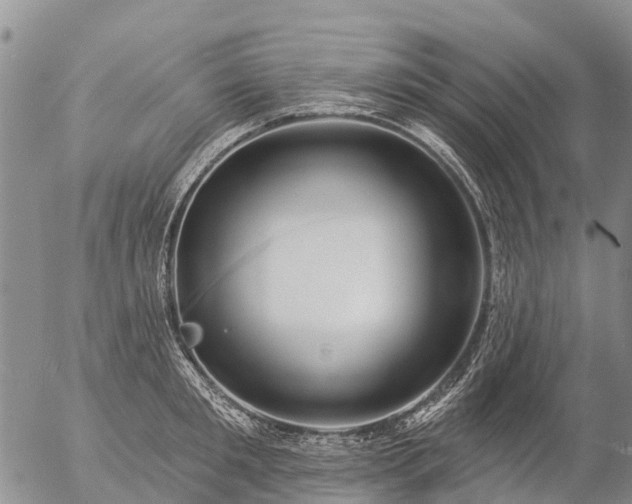 X0000057090901200509161626