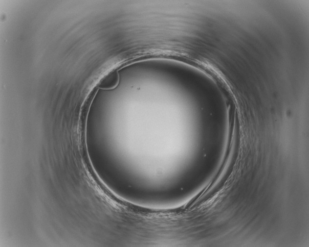 X0000057090902200509161626