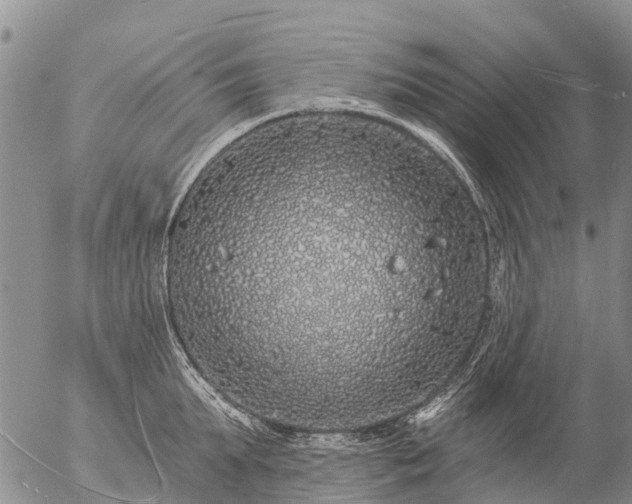 X0000057090903200509161626