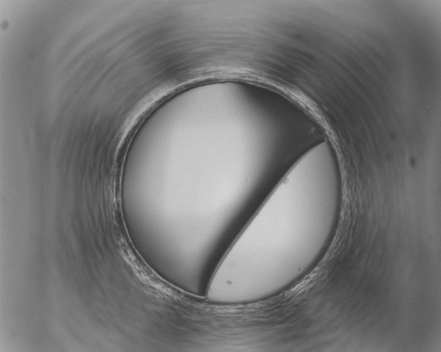 X0000057090904200509161626