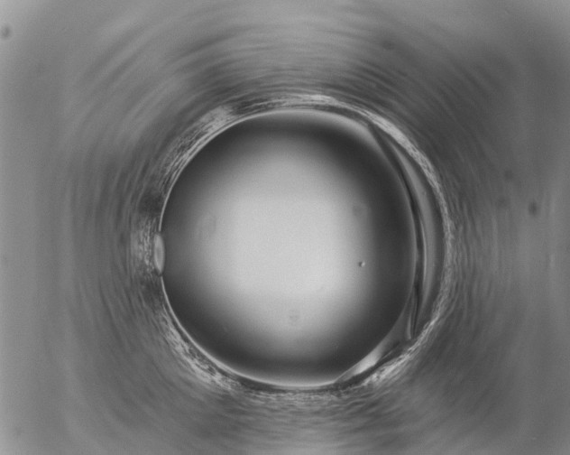 X0000057090905200509161626