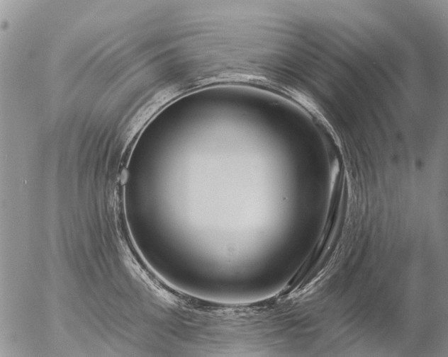 X0000057090906200509161626