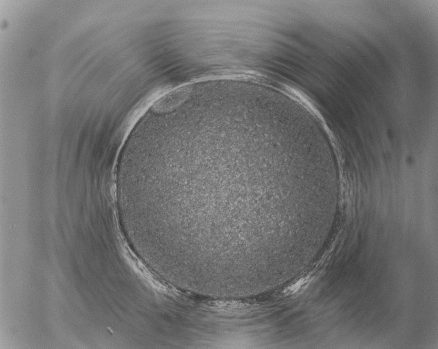 X0000057090907200509161626