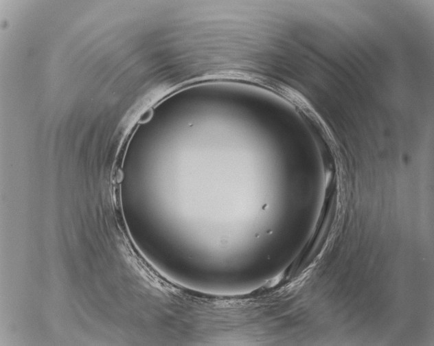 X0000057090908200509161626