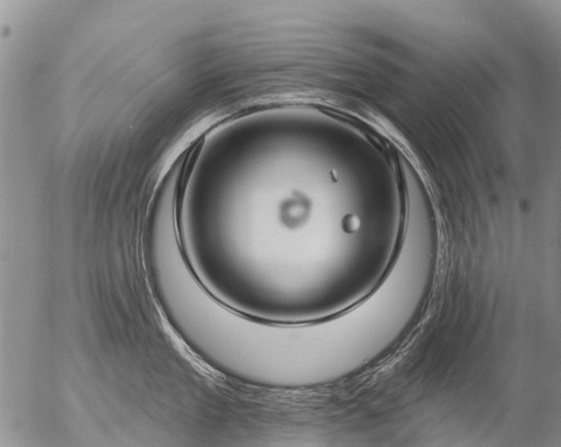 X0000057090909200509161626