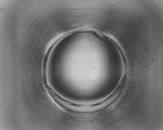 X0000057090910200509161626