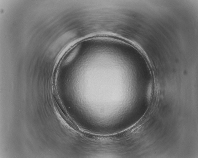 X0000057090911200509161626