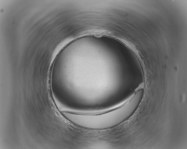 X0000057090912200509161626