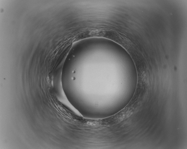 X0000057090914200509161625