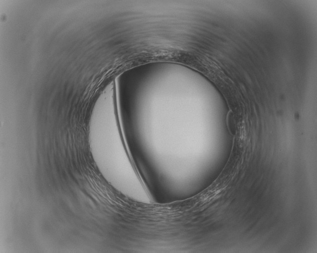 X0000057090916200509161625