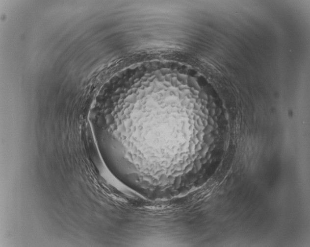 X0000057090917200509161625