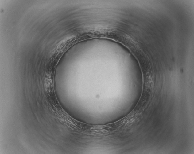 X0000057090918200509161625