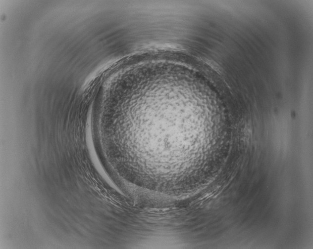 X0000057090919200509161625