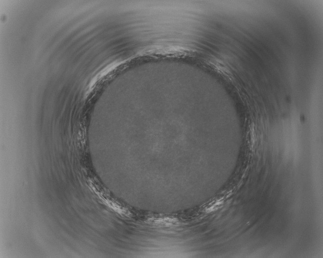 X0000057090920200509161625