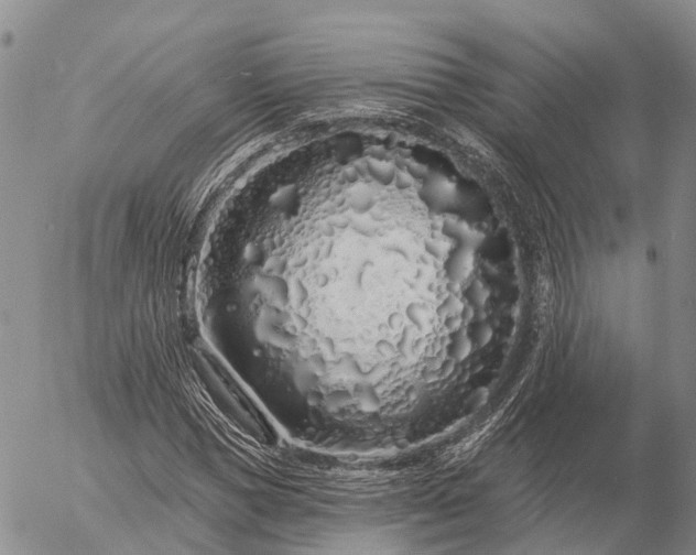 X0000057090921200509161625