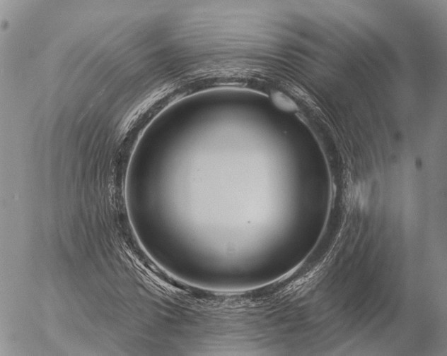 X0000057090922200509161625