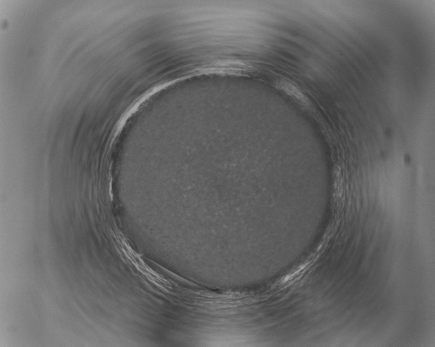 X0000057090923200509161625