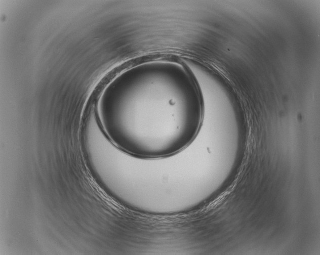 X0000057090924200509161625