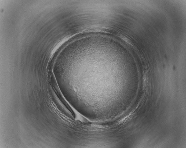 X0000057090925200509161625