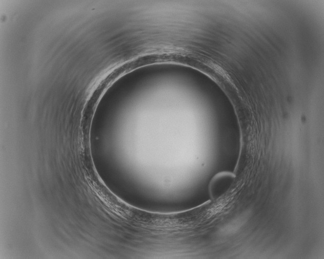 X0000057090927200509161625