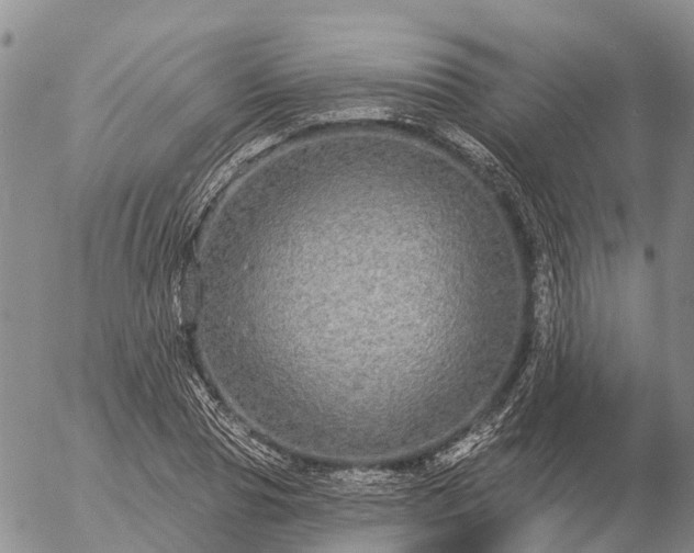 X0000057090929200509161626