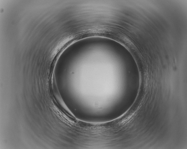 X0000057090930200509161626